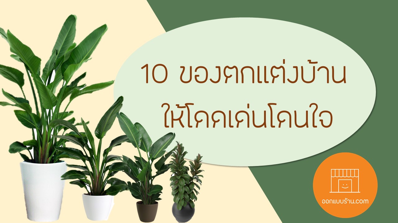 10 ของตกแต่งบ้าน ตกแต่งห้องทำงาน ให้โดดเด่นโดนใจ - ออกแบบร้าน